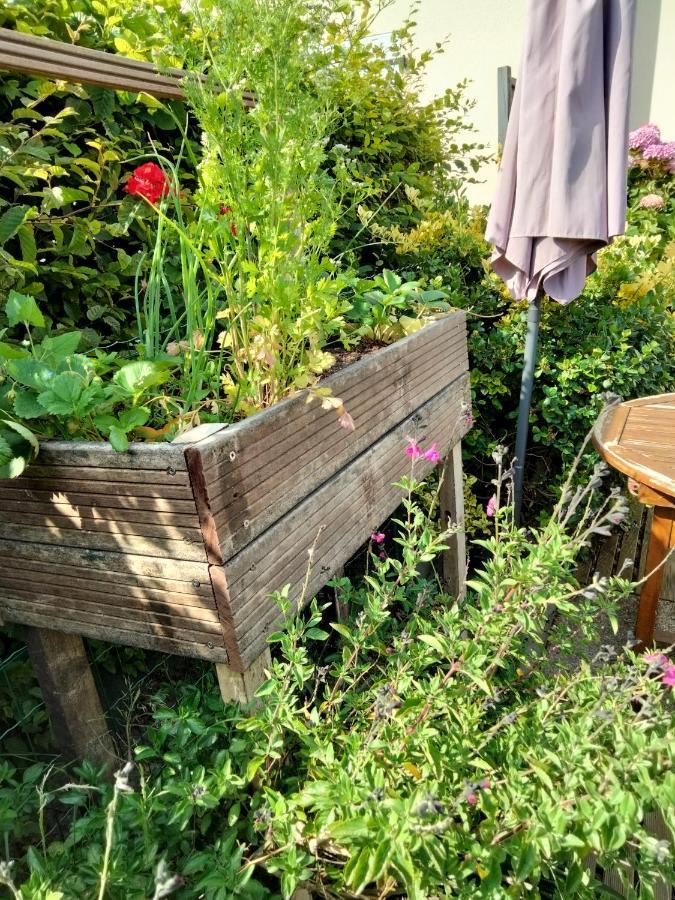 A Pied Vrai Lit Linge Fourni Jardin Bretignolles-sur-Mer